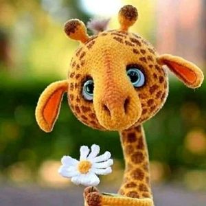 Meet your Posher, Lizbeth